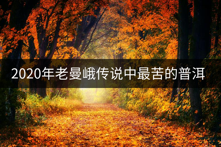 2020年老曼峨傳說中最苦的普洱茶-易武中聘號