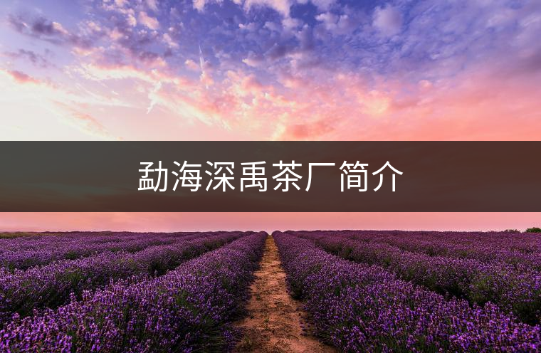 勐海深禹茶廠簡介