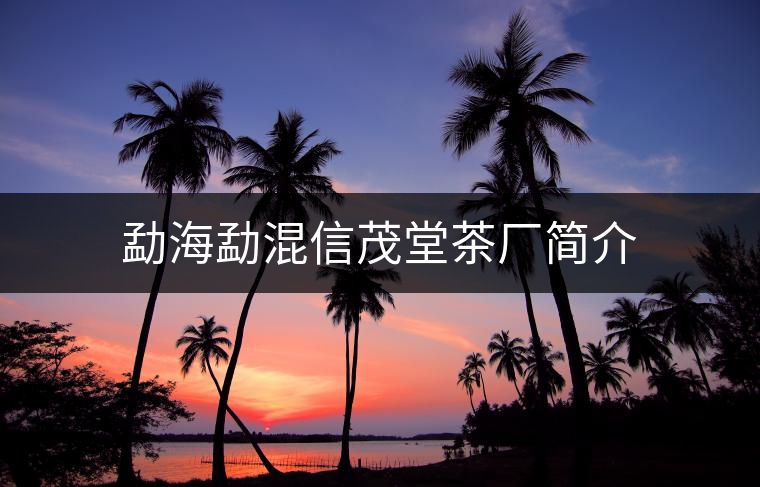 勐海勐混信茂堂茶廠簡(jiǎn)介