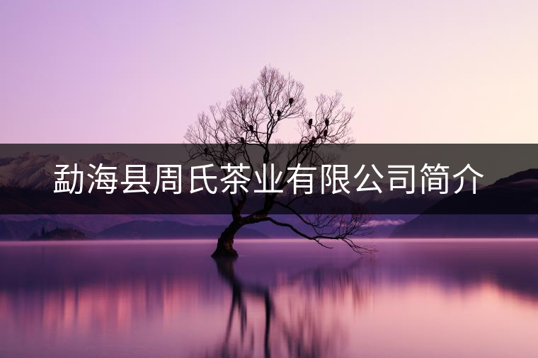 勐??h周氏茶業(yè)有限公司簡介 勐海縣周氏茶業(yè)有限公司簡介