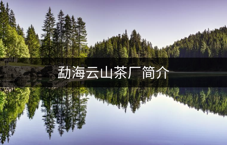 勐海云山茶廠簡介