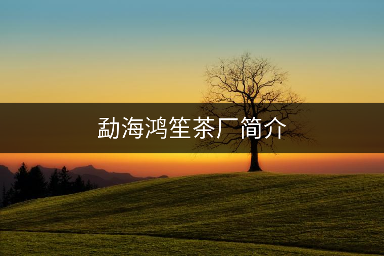 勐海鴻笙茶廠簡介