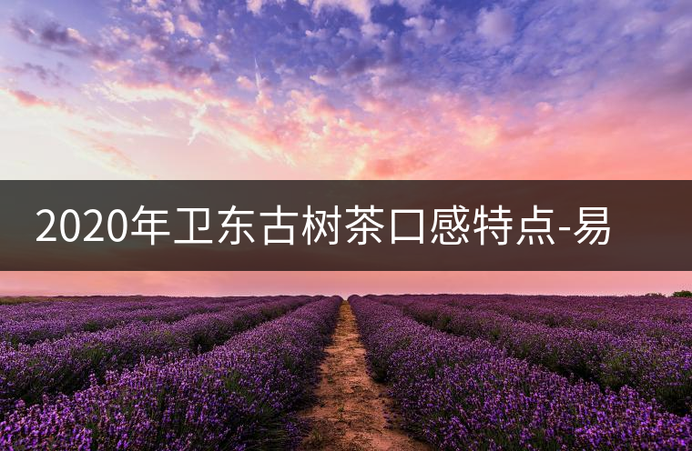 2020年衛(wèi)東古樹茶口感特點(diǎn)-易武中聘號(hào) 2020年衛(wèi)東古樹茶口感特點(diǎn)-易武中聘號(hào)