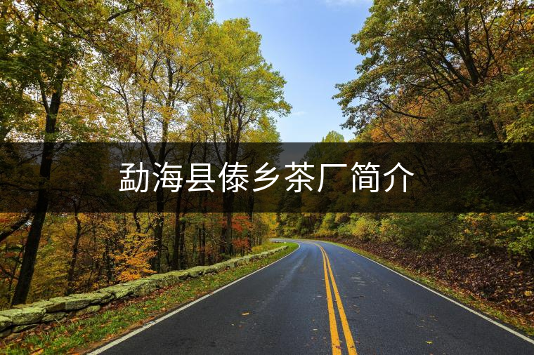 勐?？h傣鄉(xiāng)茶廠(chǎng)簡(jiǎn)介