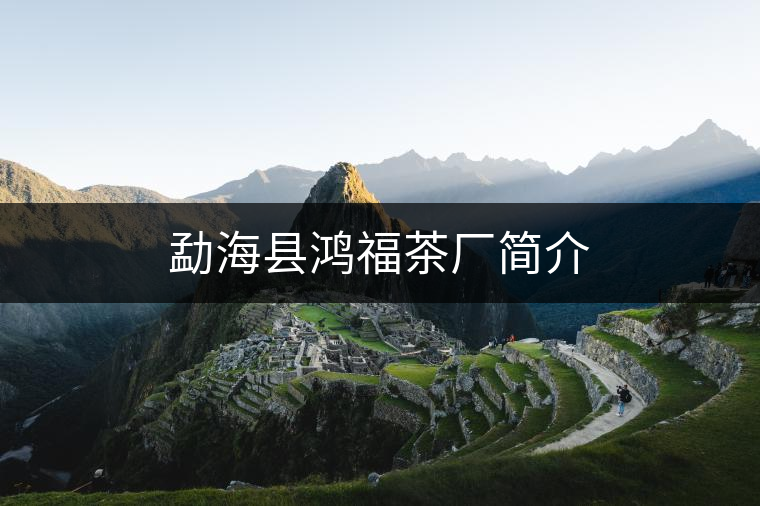 勐?？h鴻福茶廠簡介