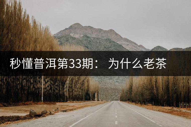 秒懂普洱第33期： 為什么老茶客都喜歡用紫砂壺泡普洱茶？