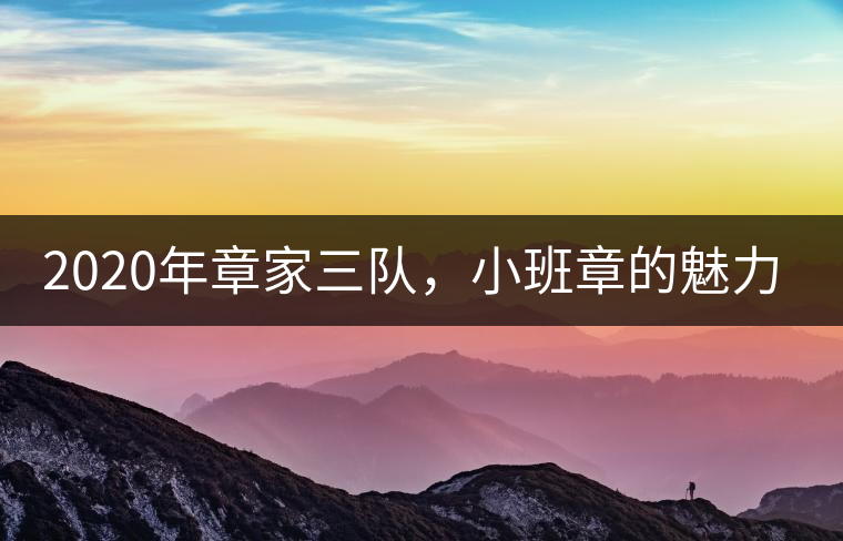 2020年章家三隊，小班章的魅力-易武中聘號