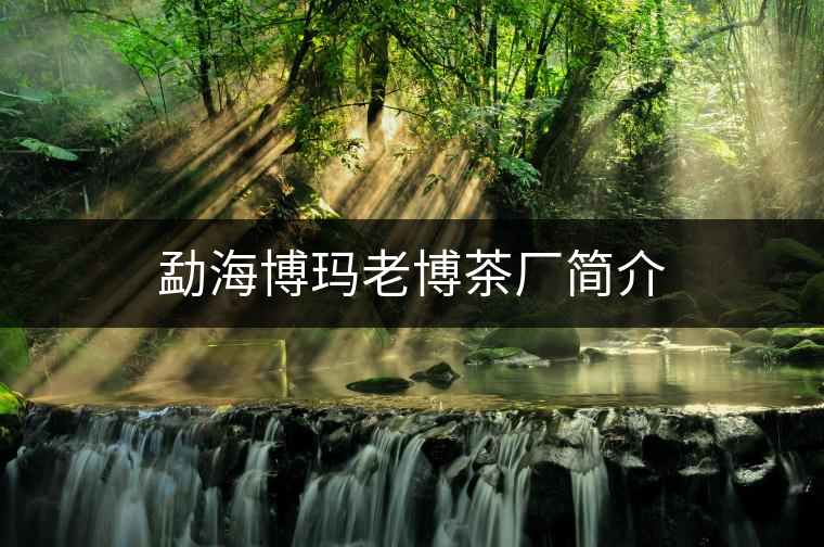 勐海博瑪老博茶廠簡介