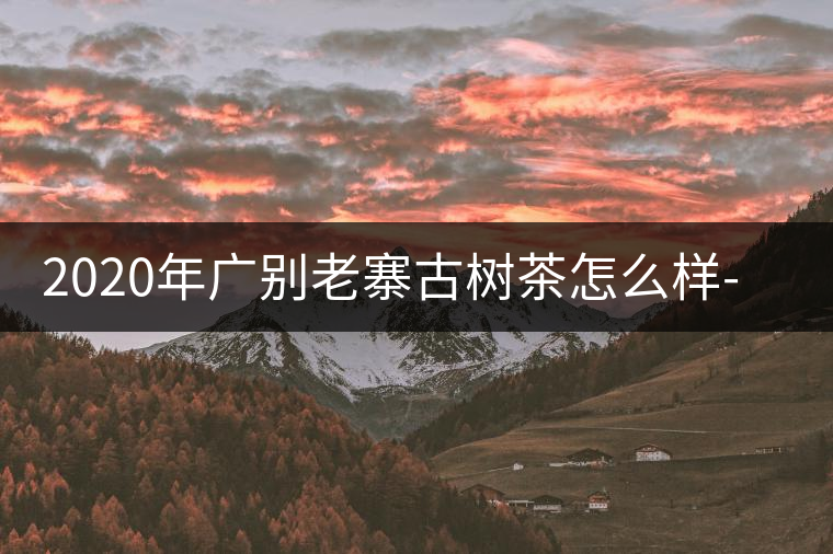 2020年廣別老寨古樹茶怎么樣-易武中聘號