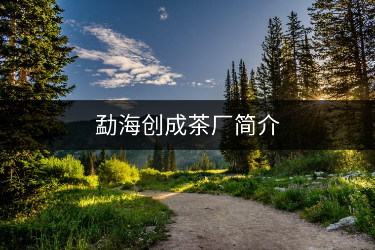 勐海創(chuàng)成茶廠簡介 勐海創(chuàng)成茶廠簡介
