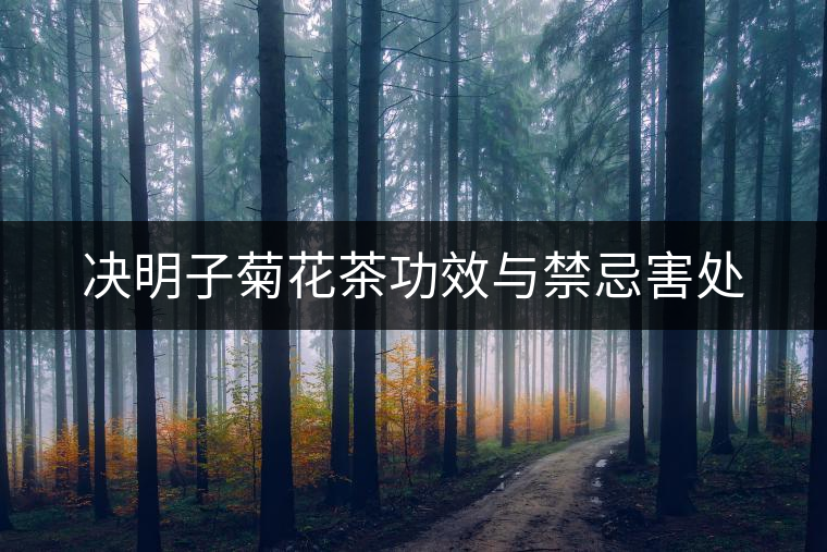 決明子菊花茶功效與禁忌害處