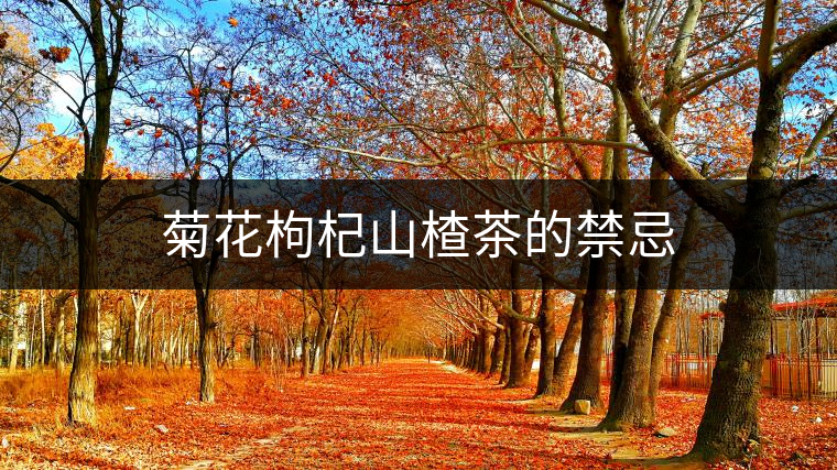菊花枸杞山楂茶的禁忌