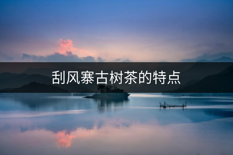 刮風(fēng)寨古樹茶的特點(diǎn)