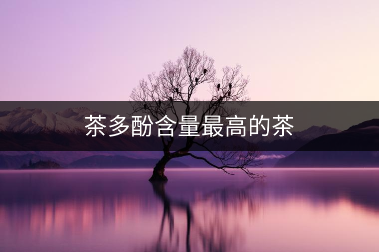 茶多酚含量最高的茶