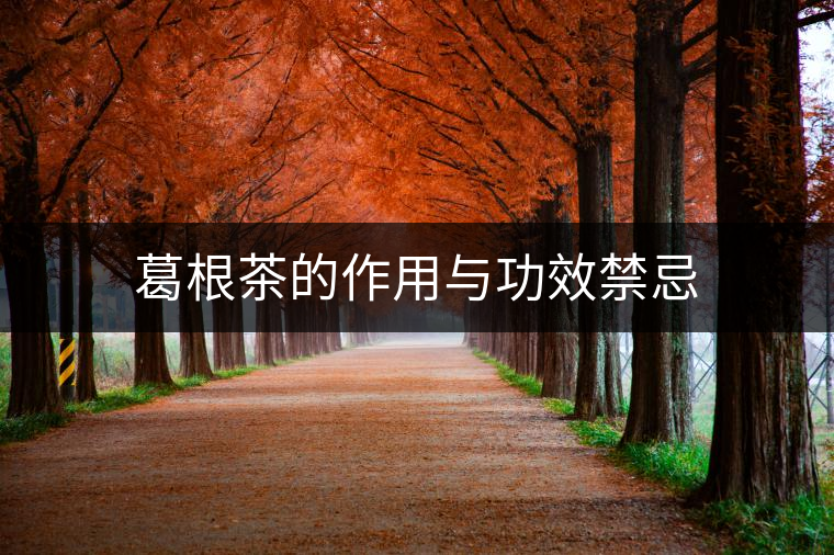 葛根茶的作用與功效禁忌