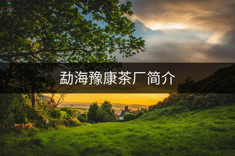 勐海豫康茶廠簡介