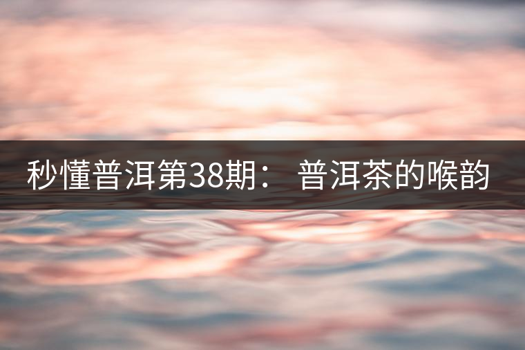 秒懂普洱第38期： 普洱茶的喉韻是什么？