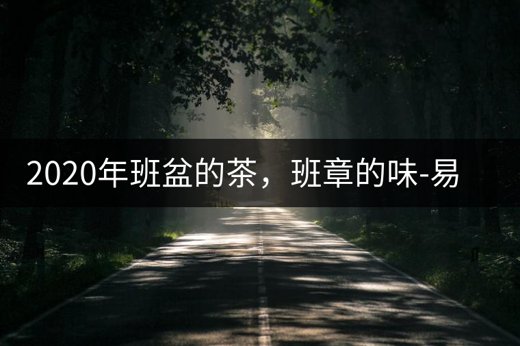 2020年班盆的茶，班章的味-易武中聘號(hào)
