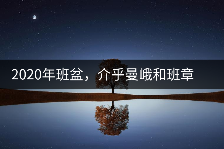 2020年班盆，介乎曼峨和班章間的“老漢子”-易武中聘號(hào)