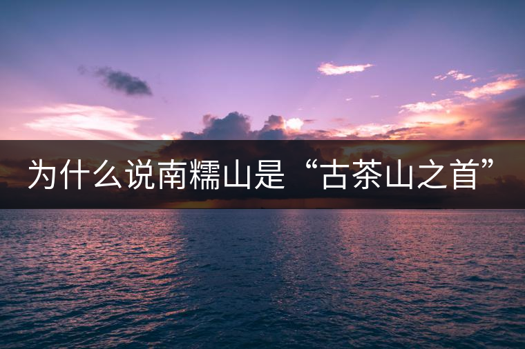 為什么說南糯山是“古茶山之首”？