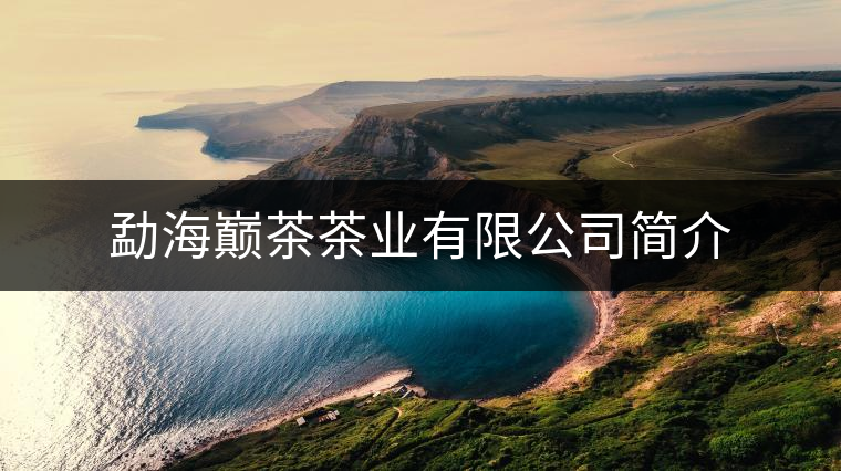 勐海巔茶茶業(yè)有限公司簡介 勐海巔茶茶業(yè)有限公司簡介