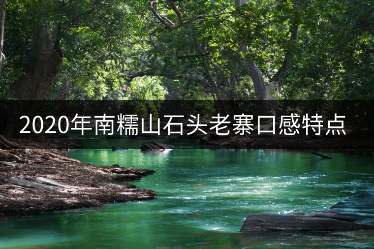 2020年南糯山石頭老寨口感特點(diǎn)-易武中聘號 2020年南糯山石頭老寨口感特點(diǎn)-易武中聘號