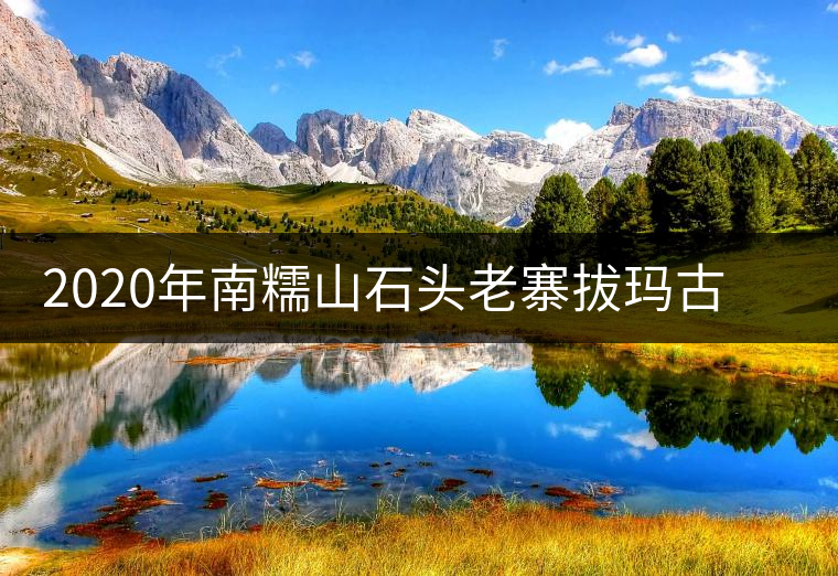 2020年南糯山石頭老寨拔瑪古樹：醇柔之質(zhì)，綿遠之韻-易武中聘號