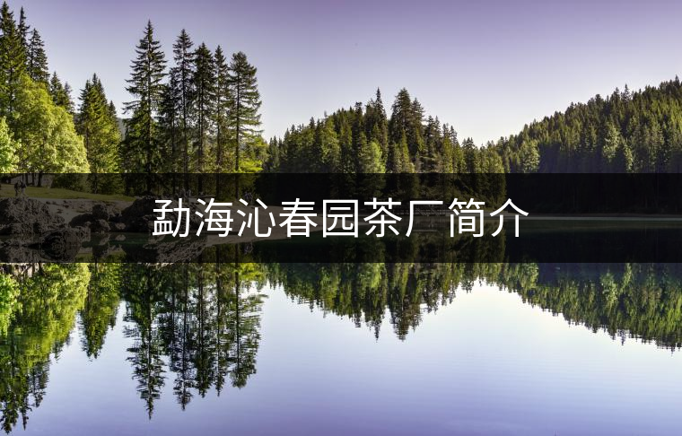 勐海沁春園茶廠簡介