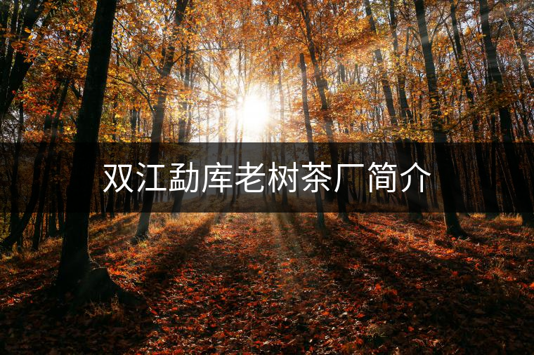 雙江勐庫老樹茶廠簡介