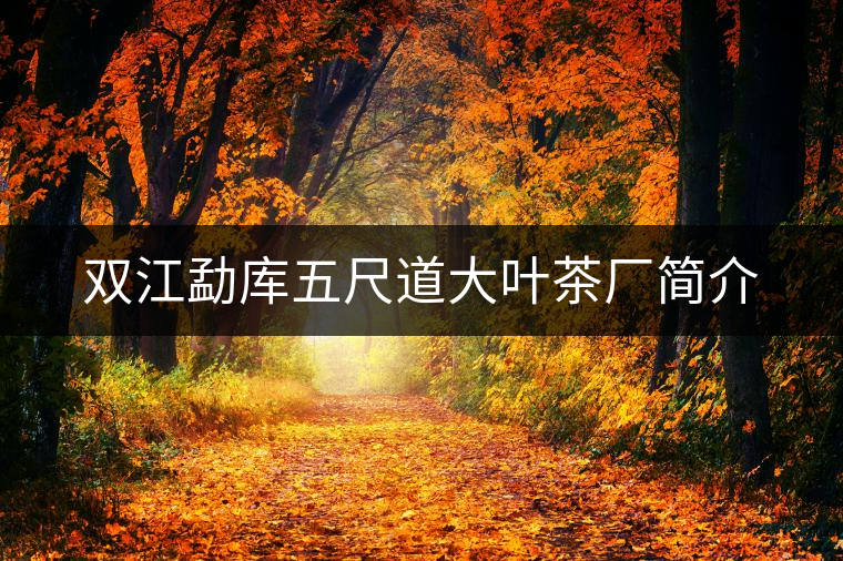 雙江勐庫(kù)五尺道大葉茶廠(chǎng)簡(jiǎn)介