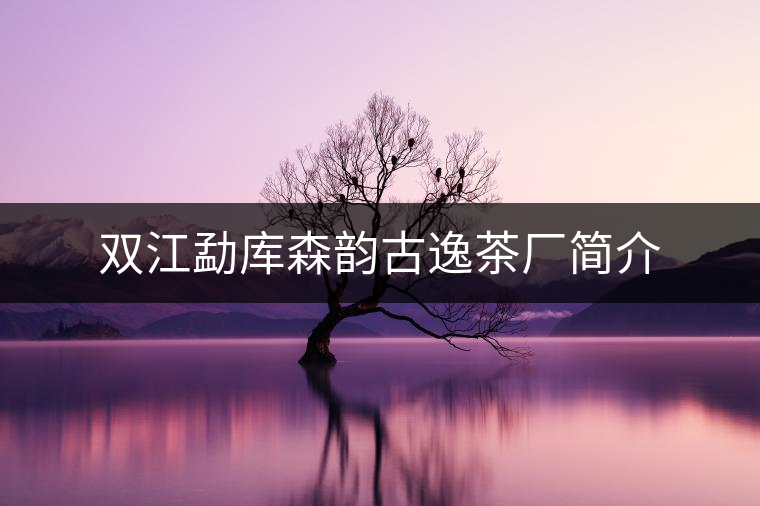 雙江勐庫森韻古逸茶廠簡介