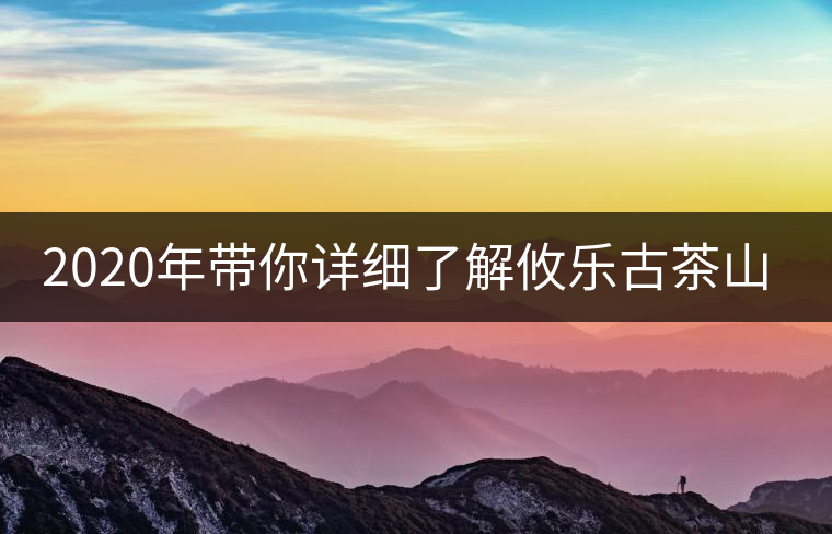 2020年帶你詳細(xì)了解攸樂古茶山-易武中聘號(hào)