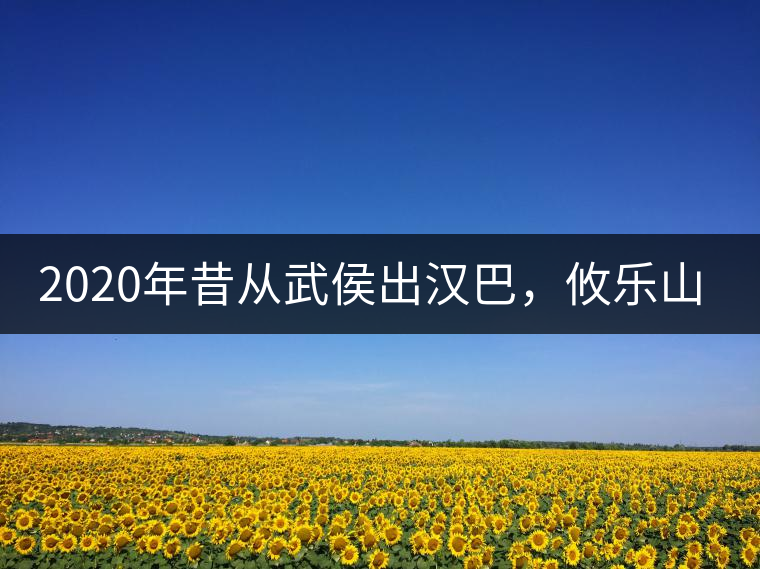 2020年昔從武侯出漢巴，攸樂(lè)山中只種茶。-易武中聘號(hào)