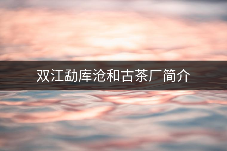 雙江勐庫滄和古茶廠簡介 雙江勐庫滄和古茶廠簡介