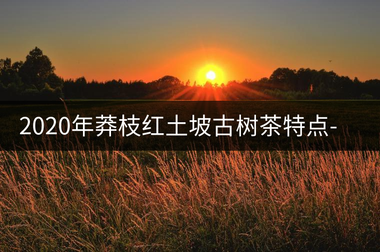 2020年莽枝紅土坡古樹茶特點-易武中聘號 2020年莽枝紅土坡古樹茶特點-易武中聘號