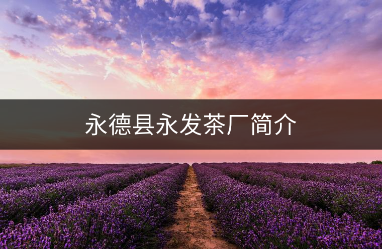 永德縣永發(fā)茶廠簡介
