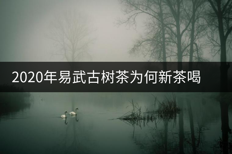 2020年易武古樹(shù)茶為何新茶喝時(shí)淡卻越放越濃？-易武中聘號(hào)