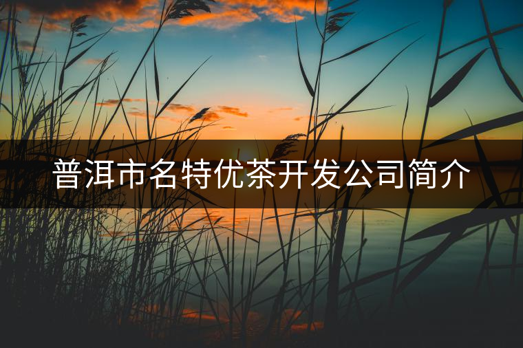 普洱市名特優(yōu)茶開發(fā)公司簡介
