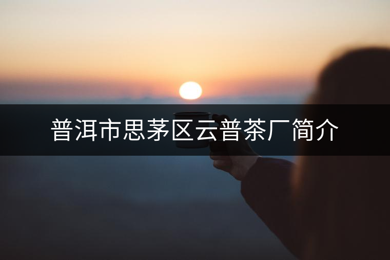 普洱市思茅區(qū)云普茶廠簡介