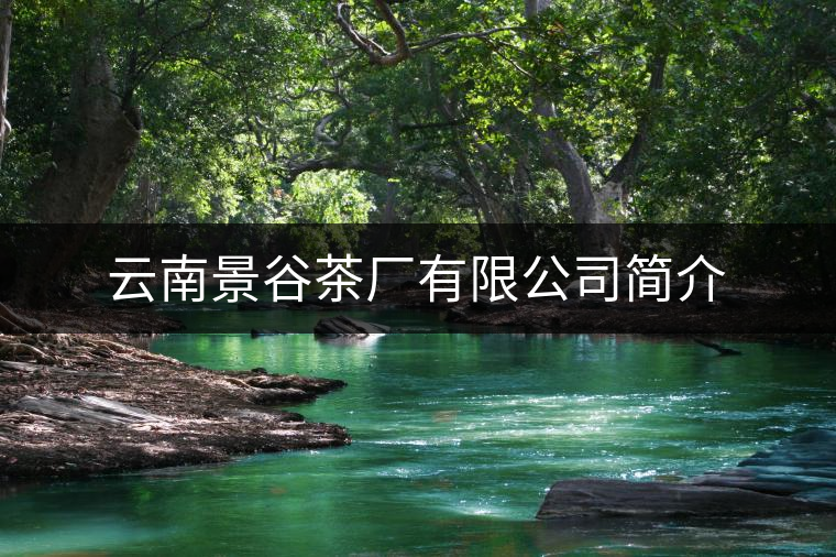 云南景谷茶廠有限公司簡介