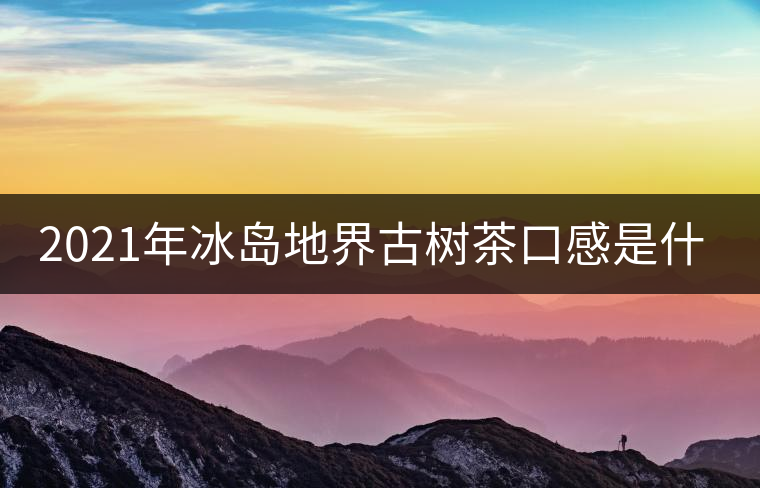 2021年冰島地界古樹茶口感是什么？