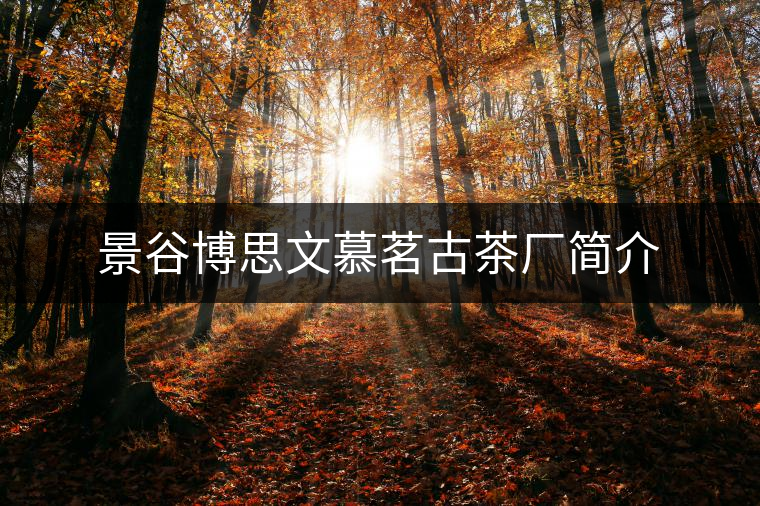 景谷博思文慕茗古茶廠簡(jiǎn)介