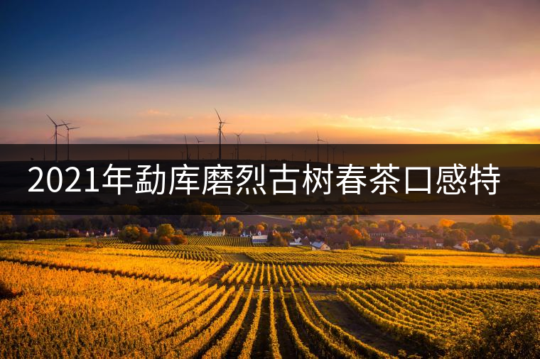 2021年勐庫磨烈古樹春茶口感特點是什么？