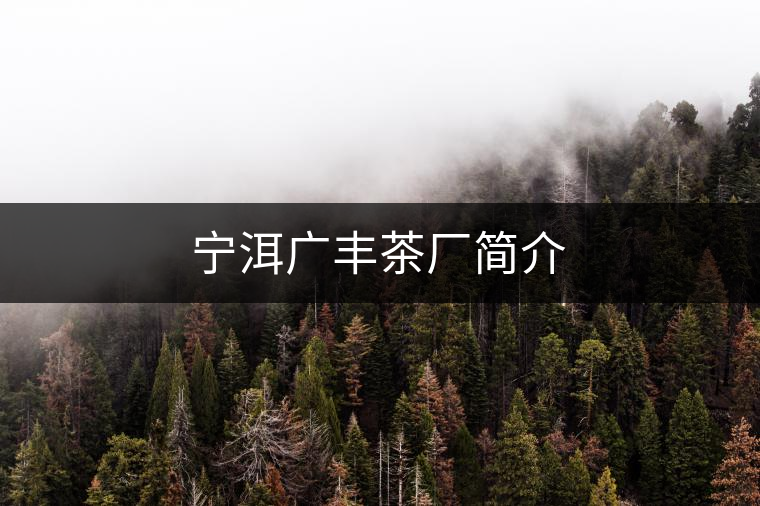 寧洱廣豐茶廠簡介 寧洱廣豐茶廠簡介