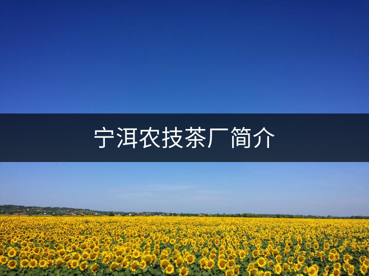 寧洱農(nóng)技茶廠簡介 寧洱農(nóng)技茶廠簡介