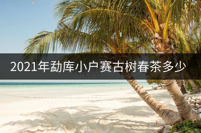 2021年勐庫小戶賽古樹春茶多少錢一公斤? 2021年勐庫小戶賽古樹春茶多少錢一公斤?