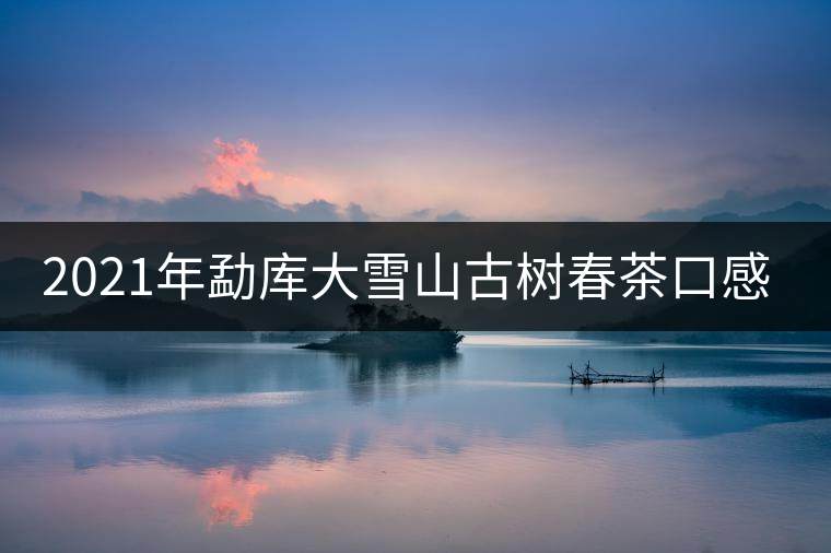 2021年勐庫(kù)大雪山古樹春茶口感特點(diǎn)？