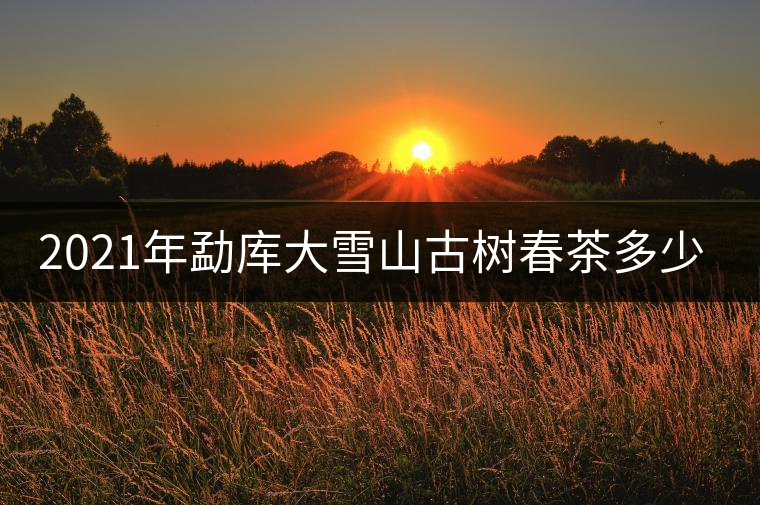 2021年勐庫大雪山古樹春茶多少錢一公斤？