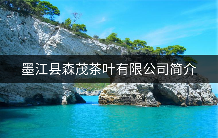 墨江縣森茂茶葉有限公司簡(jiǎn)介