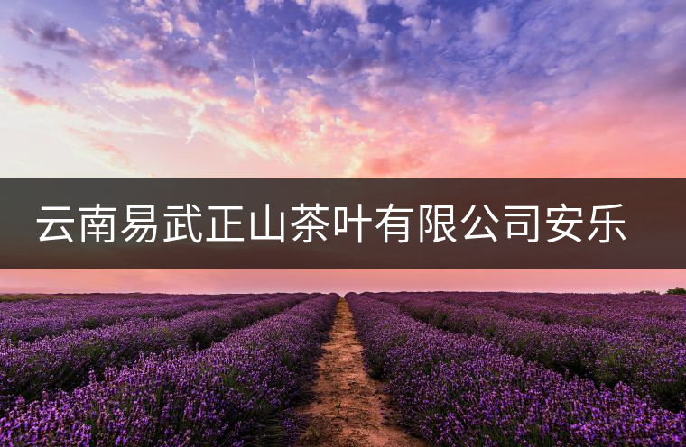 云南易武正山茶葉有限公司安樂(lè)茶莊同慶茶廠簡(jiǎn)介